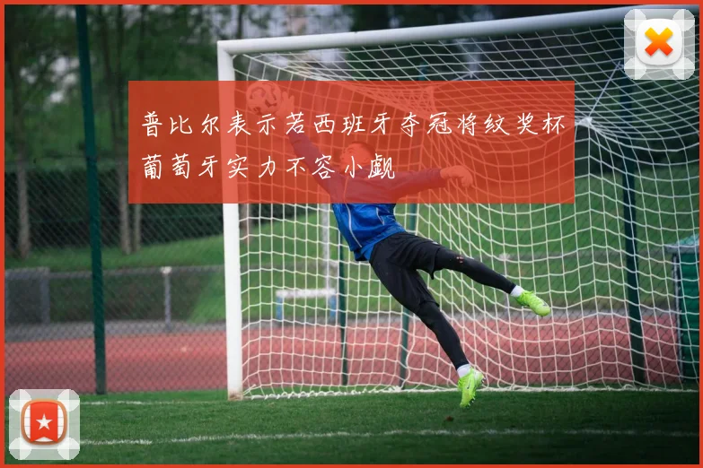 普比尔表示若西班牙夺冠将纹奖杯葡萄牙实力不容小觑