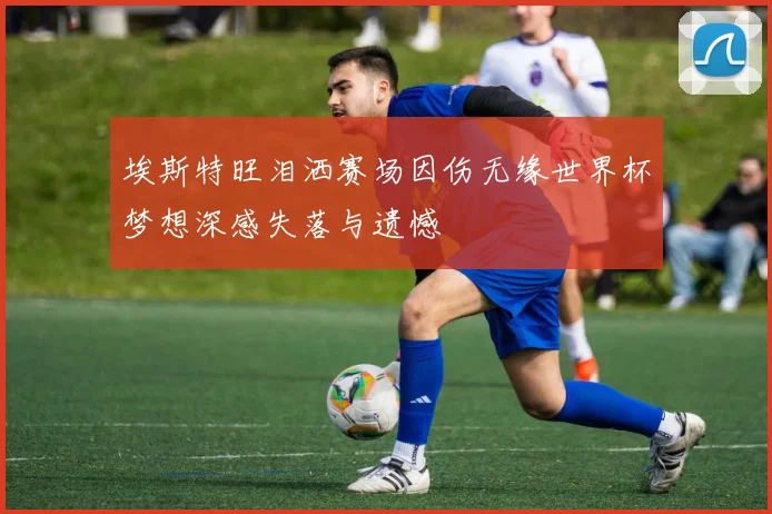 埃斯特旺泪洒赛场因伤无缘世界杯梦想深感失落与遗憾
