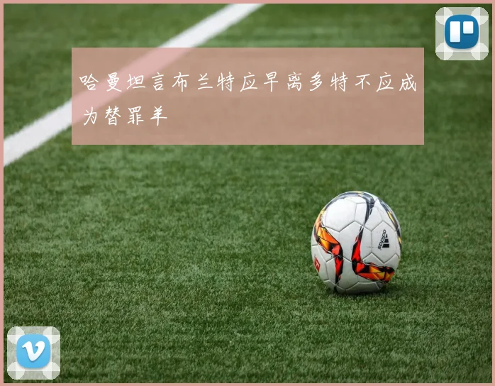 哈曼坦言布兰特应早离多特不应成为替罪羊